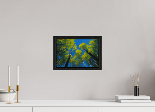 30 x 20 cm, Floater Frame Canopy of Trust